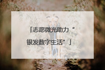 志愿微光助力“银发数字生活”