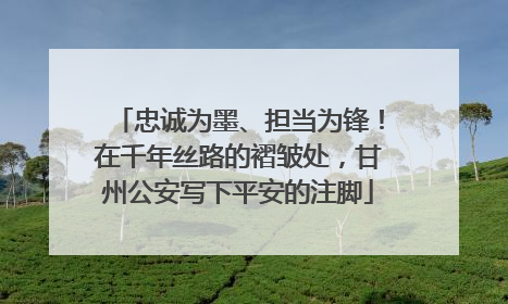 忠诚为墨、担当为锋！在千年丝路的褶皱处，甘州公安写下平安的注脚
