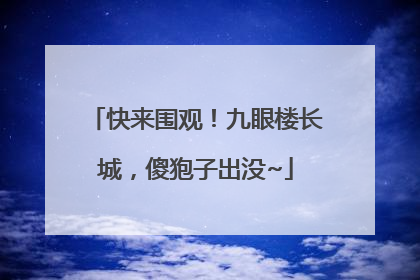 快来围观！九眼楼长城，傻狍子出没~