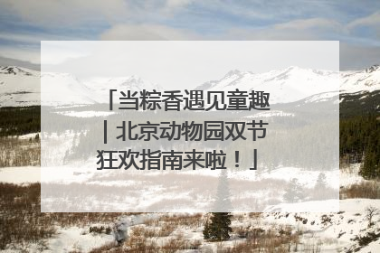 当粽香遇见童趣｜北京动物园双节狂欢指南来啦！