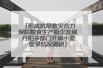 形成抗旱救灾合力 保障粮食生产稳定发展 丹阳多部门开展小麦受旱情况调研