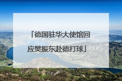 德国驻华大使馆回应樊振东赴德打球