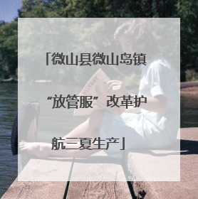 微山县微山岛镇“放管服”改革护航三夏生产