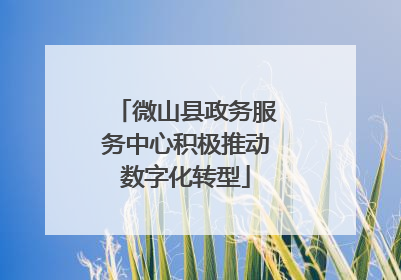 微山县政务服务中心积极推动数字化转型