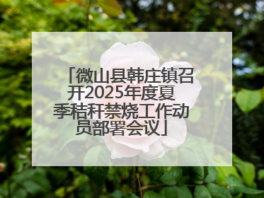 微山县韩庄镇召开2025年度夏季秸秆禁烧工作动员部署会议