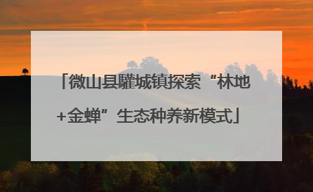 微山县驩城镇探索“林地+金蝉”生态种养新模式
