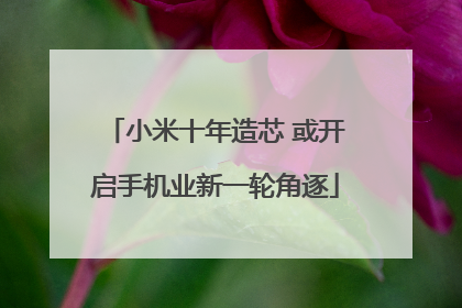 小米十年造芯 或开启手机业新一轮角逐