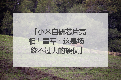 小米自研芯片亮相！雷军：这是场绕不过去的硬仗