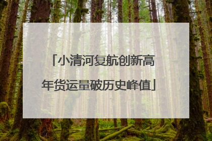 小清河复航创新高 年货运量破历史峰值