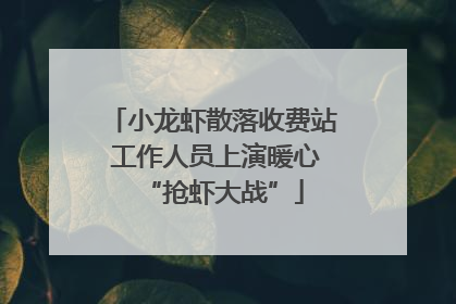 小龙虾散落收费站 工作人员上演暖心“抢虾大战”
