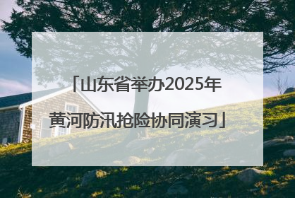 山东省举办2025年黄河防汛抢险协同演习