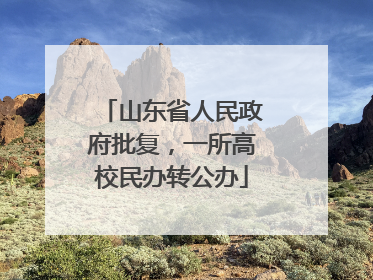 山东省人民政府批复，一所高校民办转公办