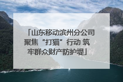 山东移动滨州分公司聚焦“打猫”行动 筑牢群众财产防护堤