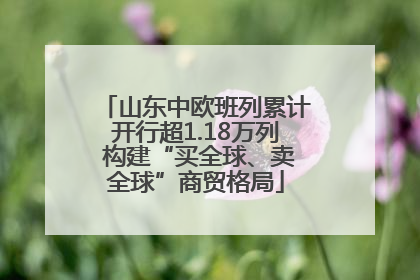 山东中欧班列累计开行超1.18万列 构建“买全球、卖全球”商贸格局