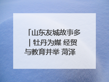 山东友城故事多｜牡丹为媒 经贸与教育并举 菏泽国际“朋友圈”扩容升级