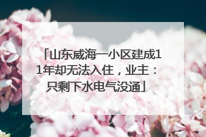 山东威海一小区建成11年却无法入住，业主：只剩下水电气没通