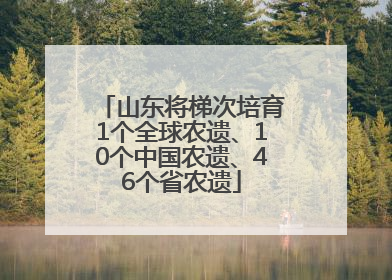 山东将梯次培育1个全球农遗、10个中国农遗、46个省农遗