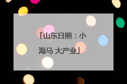 山东日照：小海马 大产业