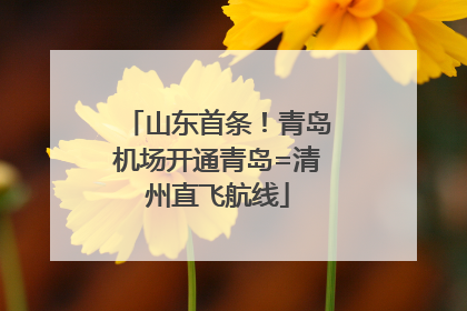 山东首条！青岛机场开通青岛=清州直飞航线