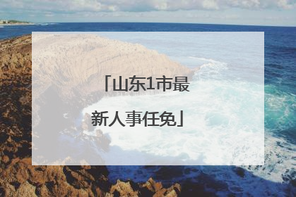 山东1市最新人事任免