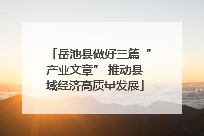 岳池县做好三篇“产业文章” 推动县域经济高质量发展