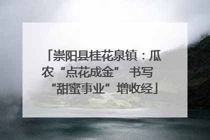 崇阳县桂花泉镇：瓜农“点花成金” 书写“甜蜜事业”增收经