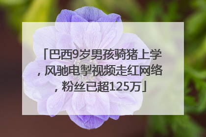 巴西9岁男孩骑猪上学，风驰电掣视频走红网络，粉丝已超125万