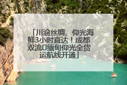 川渝丝绸、仰光海鲜3小时直达！成都双流⇌缅甸仰光全货运航线开通