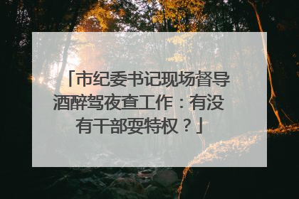 市纪委书记现场督导酒醉驾夜查工作：有没有干部耍特权？