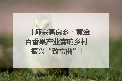 师宗高良乡：黄金百香果产业奏响乡村振兴“致富曲”