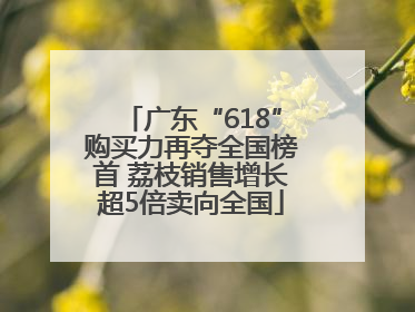 广东“618”购买力再夺全国榜首 荔枝销售增长超5倍卖向全国