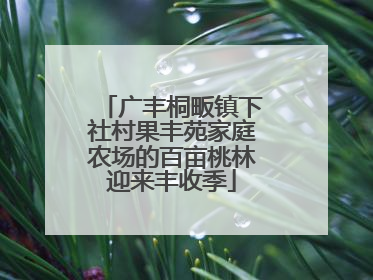 广丰桐畈镇下社村果丰苑家庭农场的百亩桃林迎来丰收季