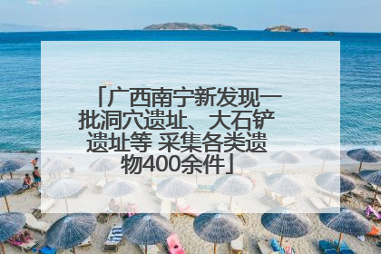 广西南宁新发现一批洞穴遗址、大石铲遗址等 采集各类遗物400余件