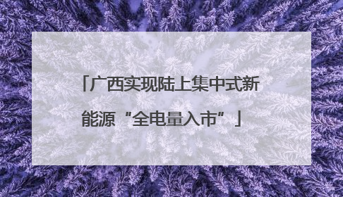 广西实现陆上集中式新能源“全电量入市”