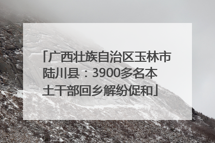 广西壮族自治区玉林市陆川县：3900多名本土干部回乡解纷促和
