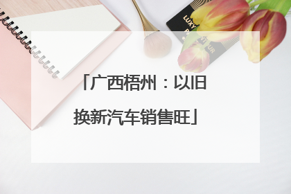 广西梧州：以旧换新汽车销售旺