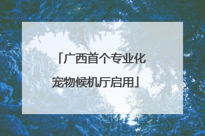 广西首个专业化宠物候机厅启用