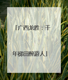 广西龙胜：千年梯田醉游人