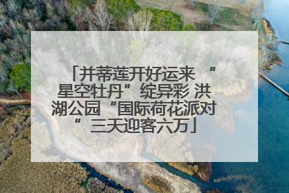 并蒂莲开好运来 “星空牡丹”绽异彩 洪湖公园“国际荷花派对”三天迎客六万