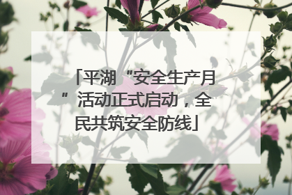 平湖“安全生产月”活动正式启动，全民共筑安全防线