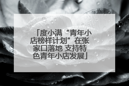 度小满“青年小店榜样计划”在张家口落地 支持特色青年小店发展