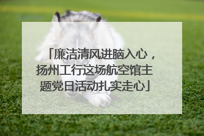 廉洁清风进脑入心，扬州工行这场航空馆主题党日活动扎实走心