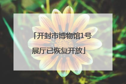 开封市博物馆1号展厅已恢复开放