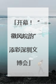 开幕！“徽风皖韵”添彩深圳文博会