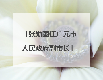 张勋图任广元市人民政府副市长