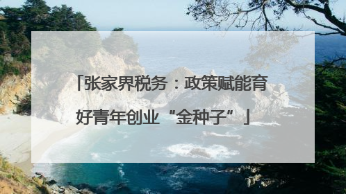张家界税务：政策赋能育好青年创业“金种子”
