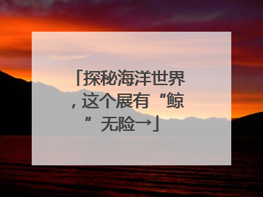 探秘海洋世界，这个展有“鲸”无险→