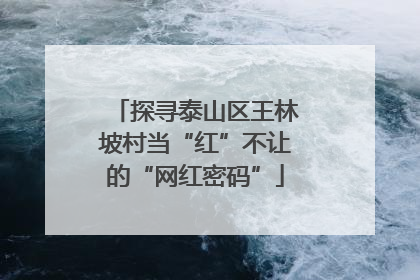探寻泰山区王林坡村当“红”不让的“网红密码”