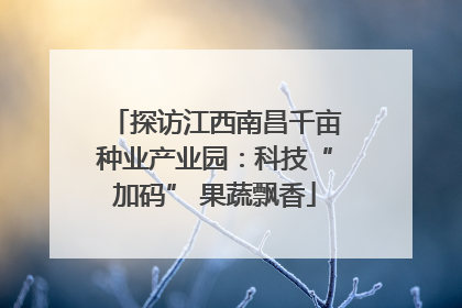 探访江西南昌千亩种业产业园：科技“加码” 果蔬飘香