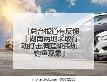 总台报道有反馈丨湖南两地采取行动打击洞庭湖违规钓鱼现象